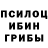 Псилоцибиновые грибы ЛСД MsTrionix