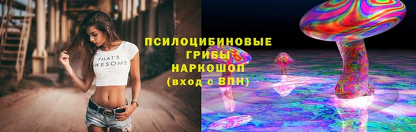 шишки Нефтегорск