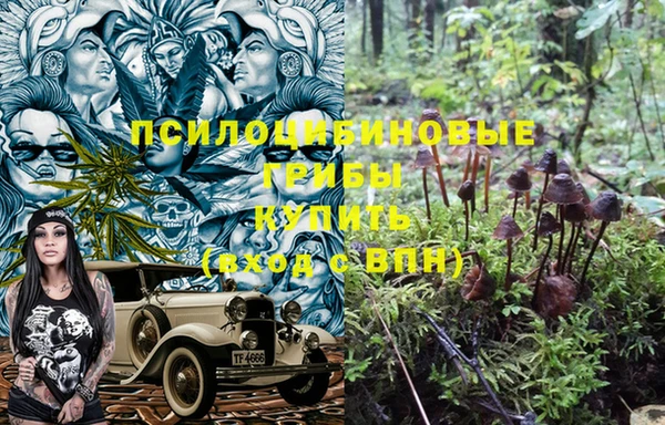 ALPHA PVP Арсеньев
