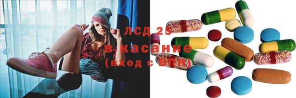 шишки Аркадак