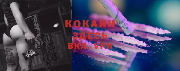 шишки Аркадак