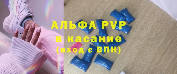 стафф Надым